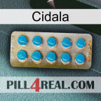 Cidala new09